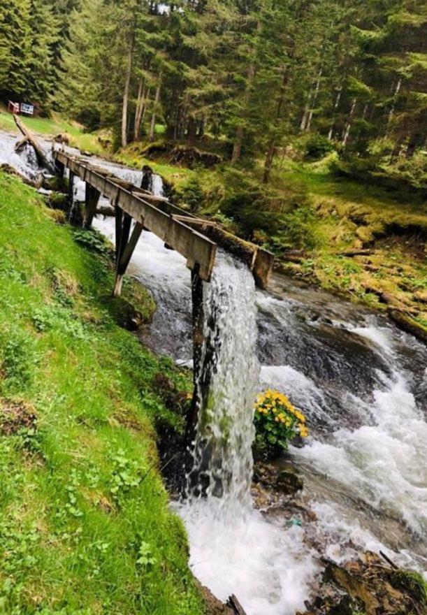 Pensiunea Trei Lalele Moisei Exteriér fotografie